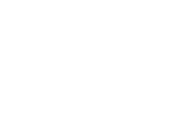 NV-logo